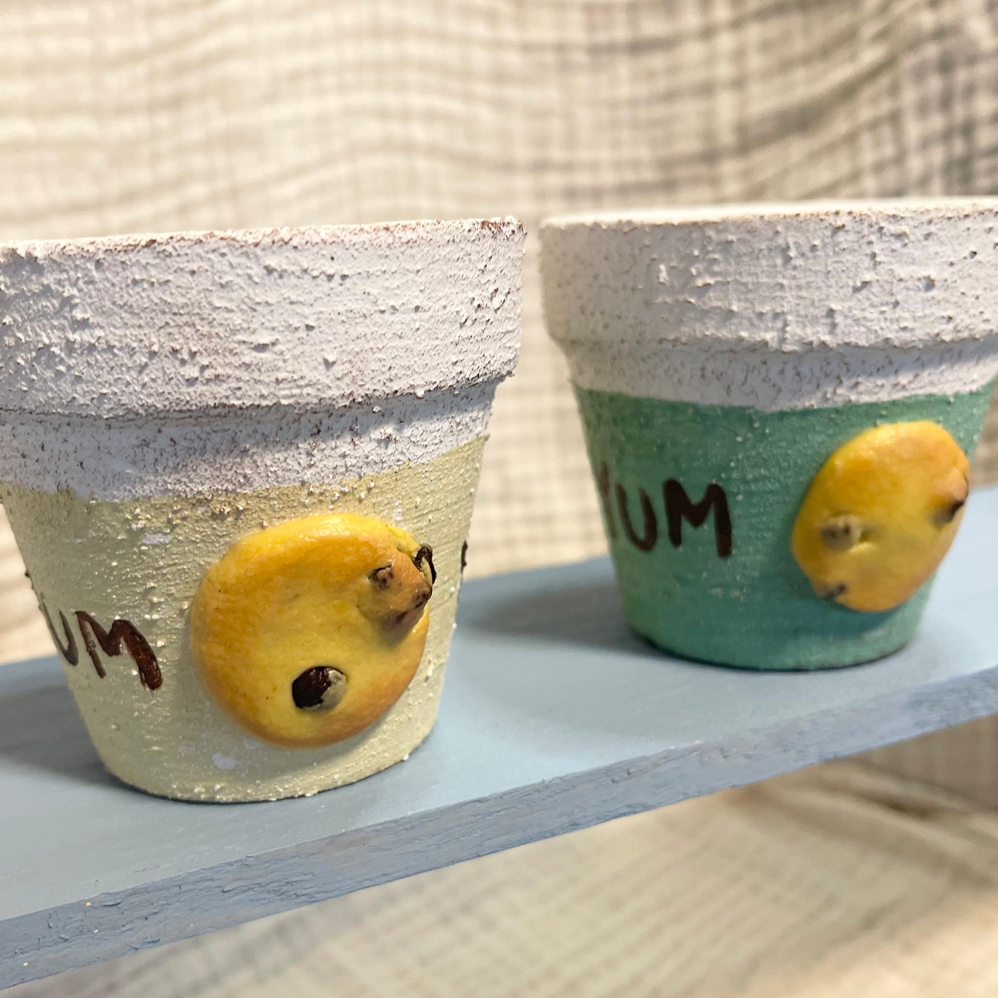 リメイク鉢 クッキー鉢 2.5号／多肉植物／ハンドメイドプランター／かわいい鉢カバー | 2枚目